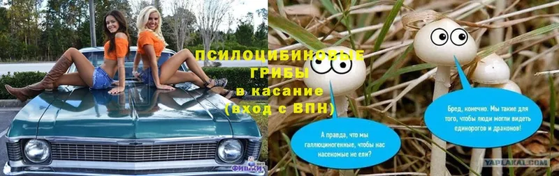 Псилоцибиновые грибы ЛСД  Кирово-Чепецк 